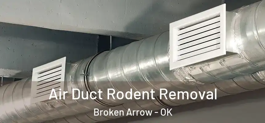 Air Duct Rodent Removal Broken Arrow - OK