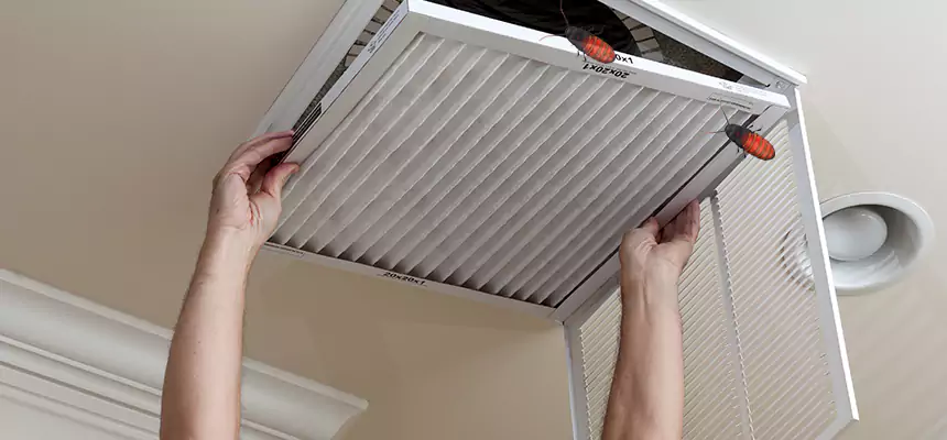 Preventive Cockroach-Proofing for Ducts in Broken Arrow