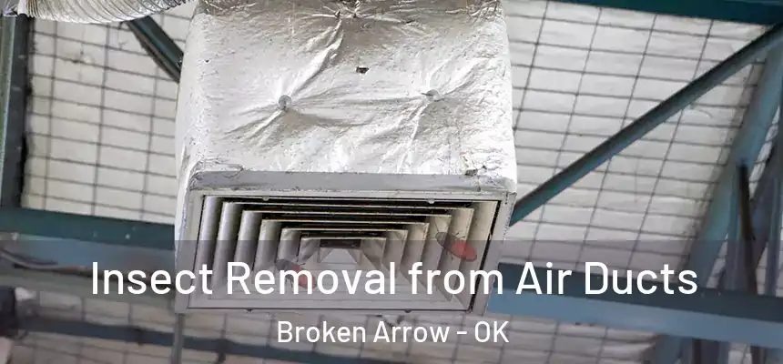  Insect Removal from Air Ducts Broken Arrow - OK