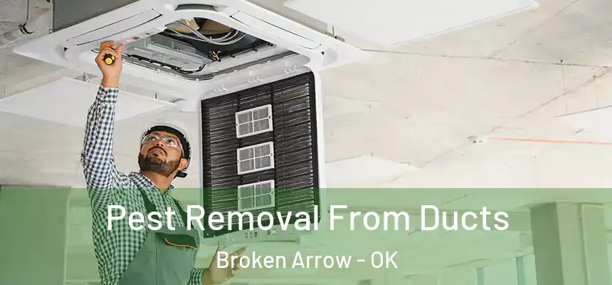  Pest Removal From Ducts Broken Arrow - OK