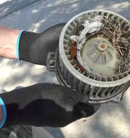 About Air Duct Mice Removal in Broken Arrow, OK